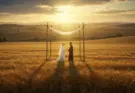 book of ruth