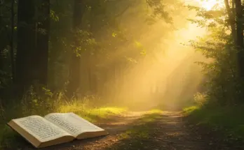 proverbs chapter 3