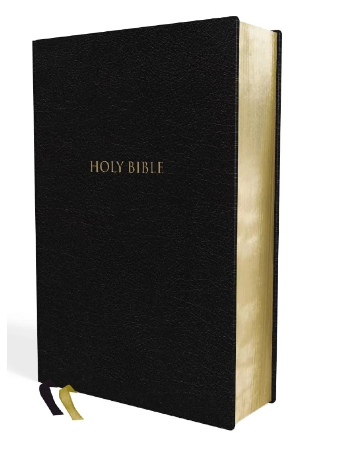 Cover of 'Thompson Chain Reference Bible'