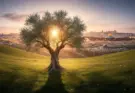 A glowing olive tree overlooking ancient Jerusalem, symbolizing God’s covenant and faithfulness in 2 Samuel.