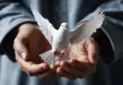 SOAP Bible Study: Proverbs 3:5-6