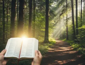 A forest path with hands holding an open Bible, showing guidance from biblical truth for today.