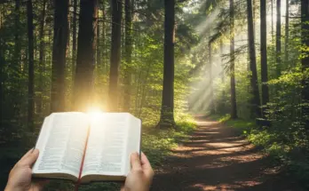 A forest path with hands holding an open Bible, showing guidance from biblical truth for today.
