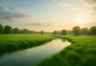 Green pasture and calm reflective stream at sunrise illustrating Psalm 23.