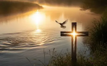 the biblical way of salvation Baptism representing repentance, faith, and new life in Jesus