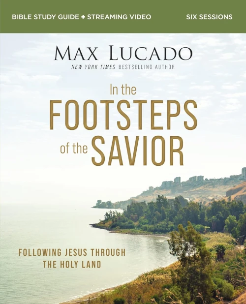 Cover of 'In the Footsteps of the Savior'